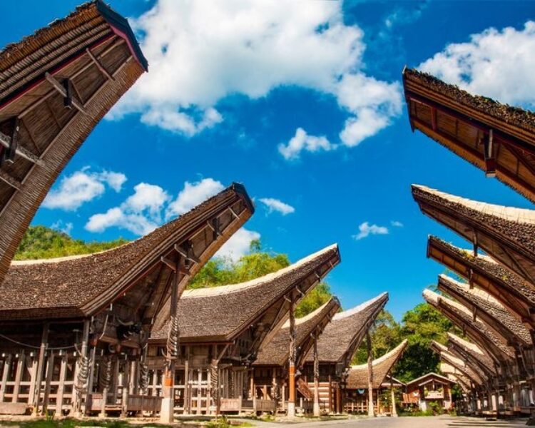 tana-toraja-62e1f2d43555e42efe096776